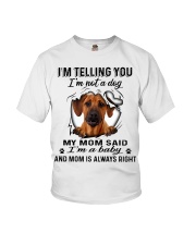 Rhodesian Ridgeback A Baby Youth T-Shirt tile