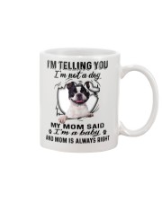 Boston Terrier Telling Mug front