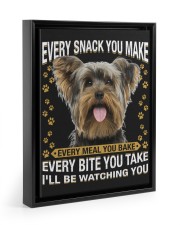 Yorkshire Terrier Watching Floating Framed Canvas Prints Black tile