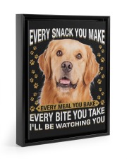 Golden Retriever Watching Floating Framed Canvas Prints Black tile