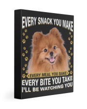 Pomeranian 1 Watching Gallery Wrapped Canvas Prints tile