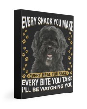 Portuguese Water Dog Watching Gallery Wrapped Canvas Prints tile