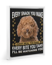 Labradoodle Watching Floating Framed Canvas Prints White tile
