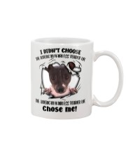 The American Hairless Terrier Life Chose Me Mug front