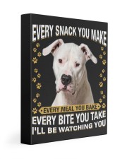 Dogo Argentino 1 Watching Gallery Wrapped Canvas Prints tile