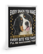 Bernese Mountain Dog Watching Floating Framed Canvas Prints White tile