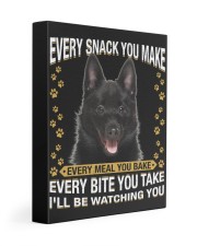 Schipperke Watching Gallery Wrapped Canvas Prints tile
