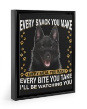 Schipperke Watching Floating Framed Canvas Prints Black tile