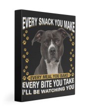 Pitbull Watching Gallery Wrapped Canvas Prints tile