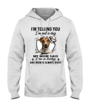 Jack Russell Terrier A Baby Hooded Sweatshirt tile