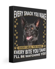 Australian Kelpie 1 Watching Gallery Wrapped Canvas Prints tile