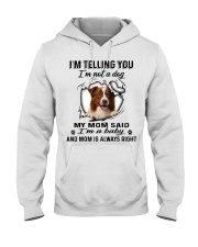 Border Collie A Baby Hooded Sweatshirt tile