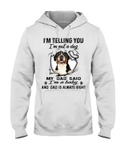 Greater Swiss Mountain Dog Baby Hooded Sweatshirt tile