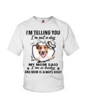 Bull Terrier A Baby Youth T-Shirt tile