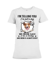 Bull Terrier A Baby Premium Fit Ladies Tee tile