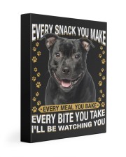 Staffordshire Bull Terrier 1 Watching Gallery Wrapped Canvas Prints tile