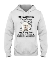 Bichon Frise A Baby Hooded Sweatshirt tile