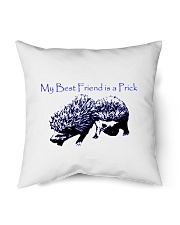 My Prick My Friend Indoor Pillow - 18” x 18” thumbnail