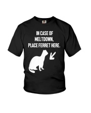 ferret meltdownUS Youth T-Shirt thumbnail
