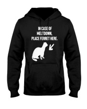 ferret meltdownUS Hooded Sweatshirt thumbnail