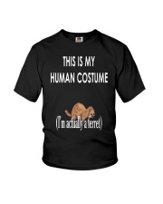 This is My Human Costume I'm Actually a Ferret Youth T-Shirt thumbnail