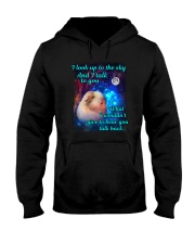 I Look Up To The Sky Hooded Sweatshirt thumbnail