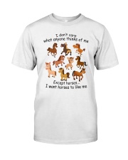 I Want Horses To Like Me Classic T-Shirt front