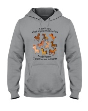 I Want Horses To Like Me Hooded Sweatshirt thumbnail