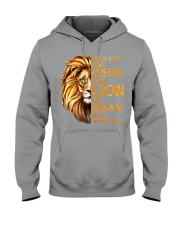 Fear Not For Jesus Hooded Sweatshirt tile