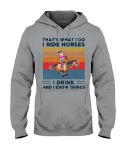 I Ride Horses I Drink Hooded Sweatshirt tile