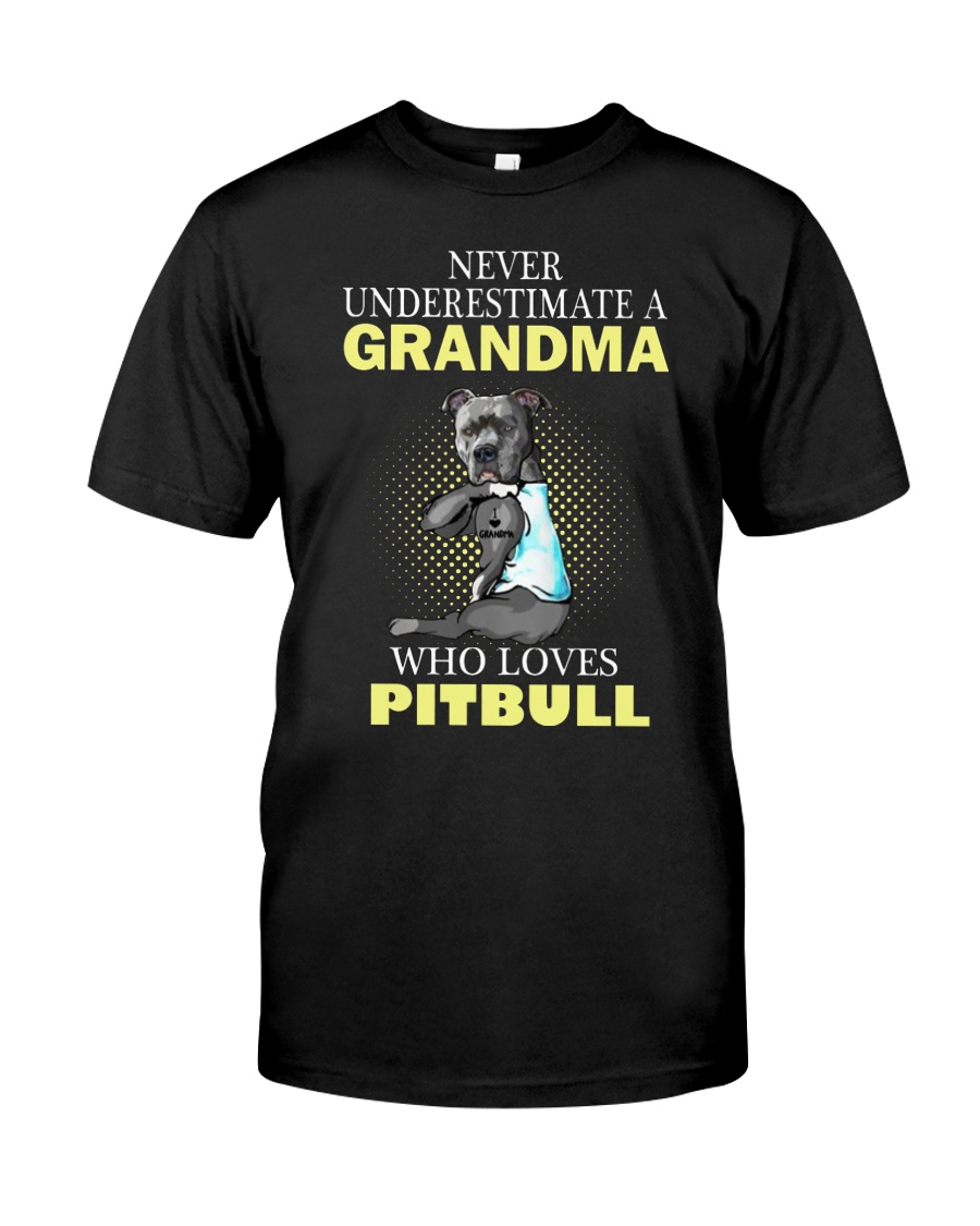 Pitbull 2 Classic T-Shirt