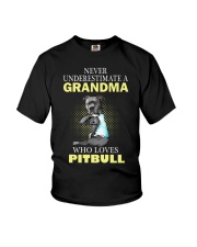 Pitbull 2 Youth T-Shirt thumbnail
