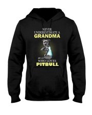 Pitbull 2 Hooded Sweatshirt thumbnail