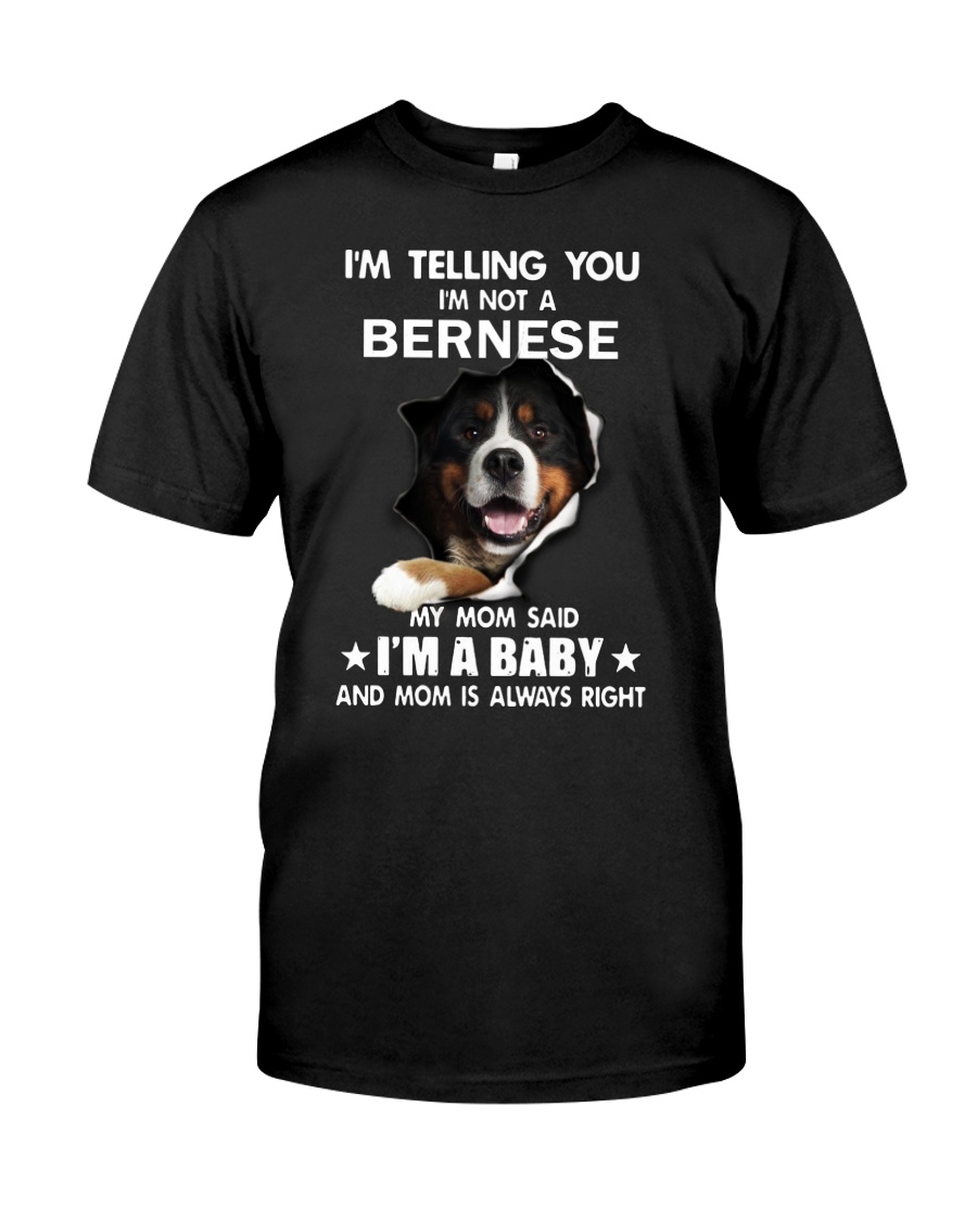 I'm telling you i'm not a bernese Classic T-Shirt