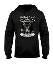 My Best Friend May Not Be My Family By Frenchie Hooded Sweatshirt thumbnail