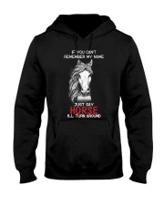 If You Can'T Remember My Name Just Say Horse Hooded Sweatshirt thumbnail