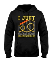I Just Really Love Roller Coasters Ok Shirt Park Theme Funny Sayings T-Shirt Gift For Him Hooded Sweatshirt tile