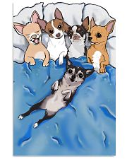 Chihuahua sleep edition 11x17 Poster front