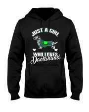 Just A Girl Who Loves Dachshund 3 Hooded Sweatshirt thumbnail