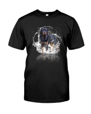 rottweiler size ao Classic T-Shirt front