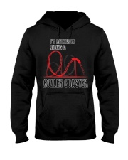 I'd Rather Be Riding A Roller Coaster Shirt For Fans Roller Coaster T-Shirt Men Women Hooded Sweatshirt tile