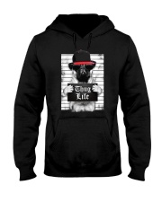 Pug Hooded Sweatshirt thumbnail