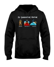 Rottweiler4 Hooded Sweatshirt thumbnail