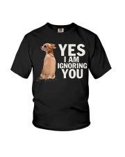 Yes I Am Ignoring You Chihuahua IGNORING Youth T-Shirt thumbnail
