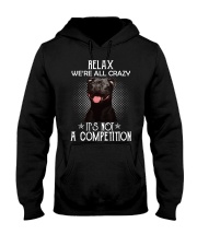 Relax Were All Crazy It S Not A Competition Hooded Sweatshirt thumbnail
