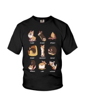 corgi boc Youth T-Shirt thumbnail