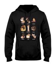 corgi boc Hooded Sweatshirt thumbnail