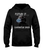 Picture It Quarantine 2020 dachshund Hooded Sweatshirt thumbnail