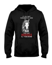 If You Can'T Remeber My Name Just Say Horses Hooded Sweatshirt thumbnail
