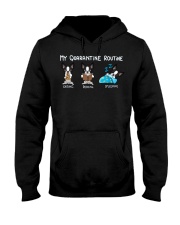 My Quarantine Routine boston3 Hooded Sweatshirt thumbnail
